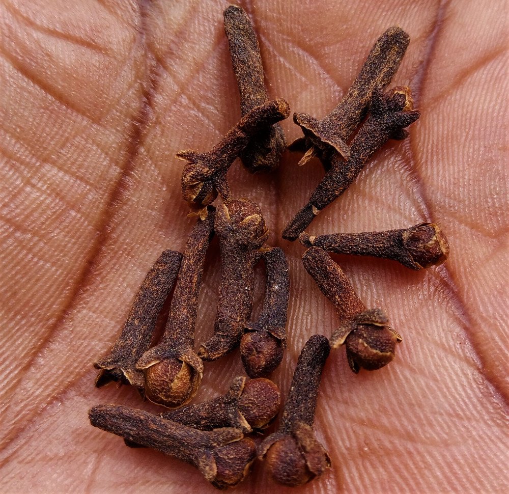 Karafuu (Cloves): Aromatic Delights and Health Benefits - Exploring Culinary Uses and Medicinal Marvels